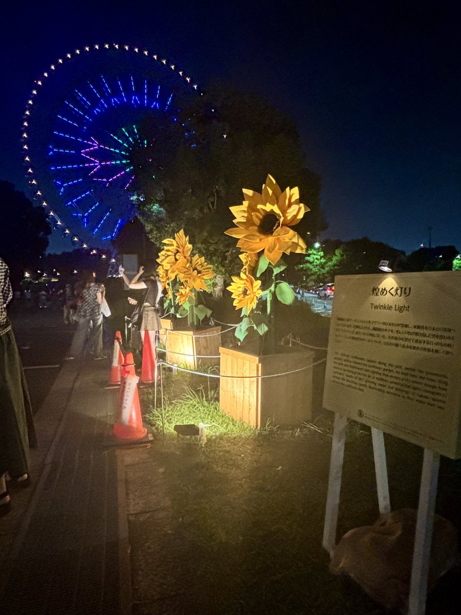hihatsu_m's tweet photo. 🌻🎡 https://t.co/Yk0aMPdtRU