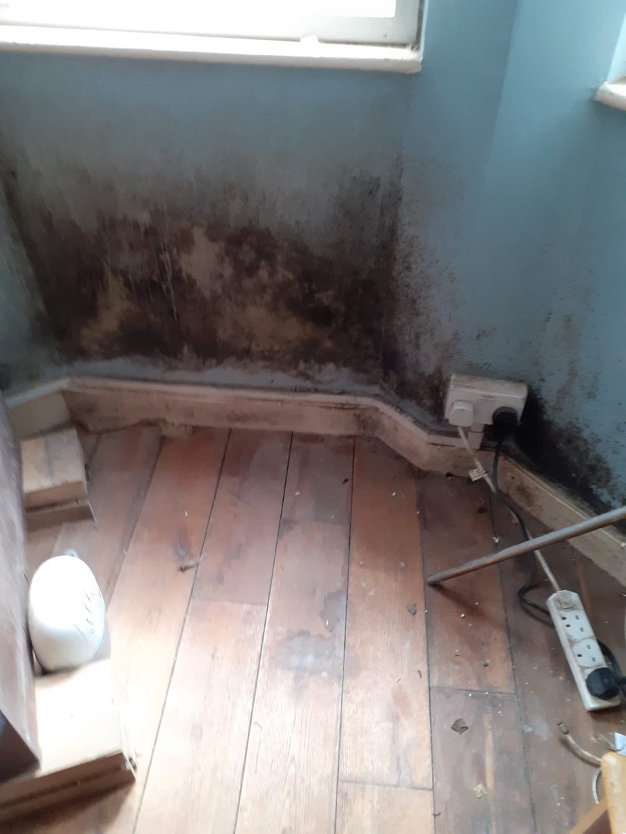 JamesAALongman's tweet photo. Hello @SouthernHsg_UK @IslingtonBC this is the mould in my 81 year old mother’s flat - which you’ve taken years to do anything about. Can you fix it please https://t.co/LhoIIW1pkb