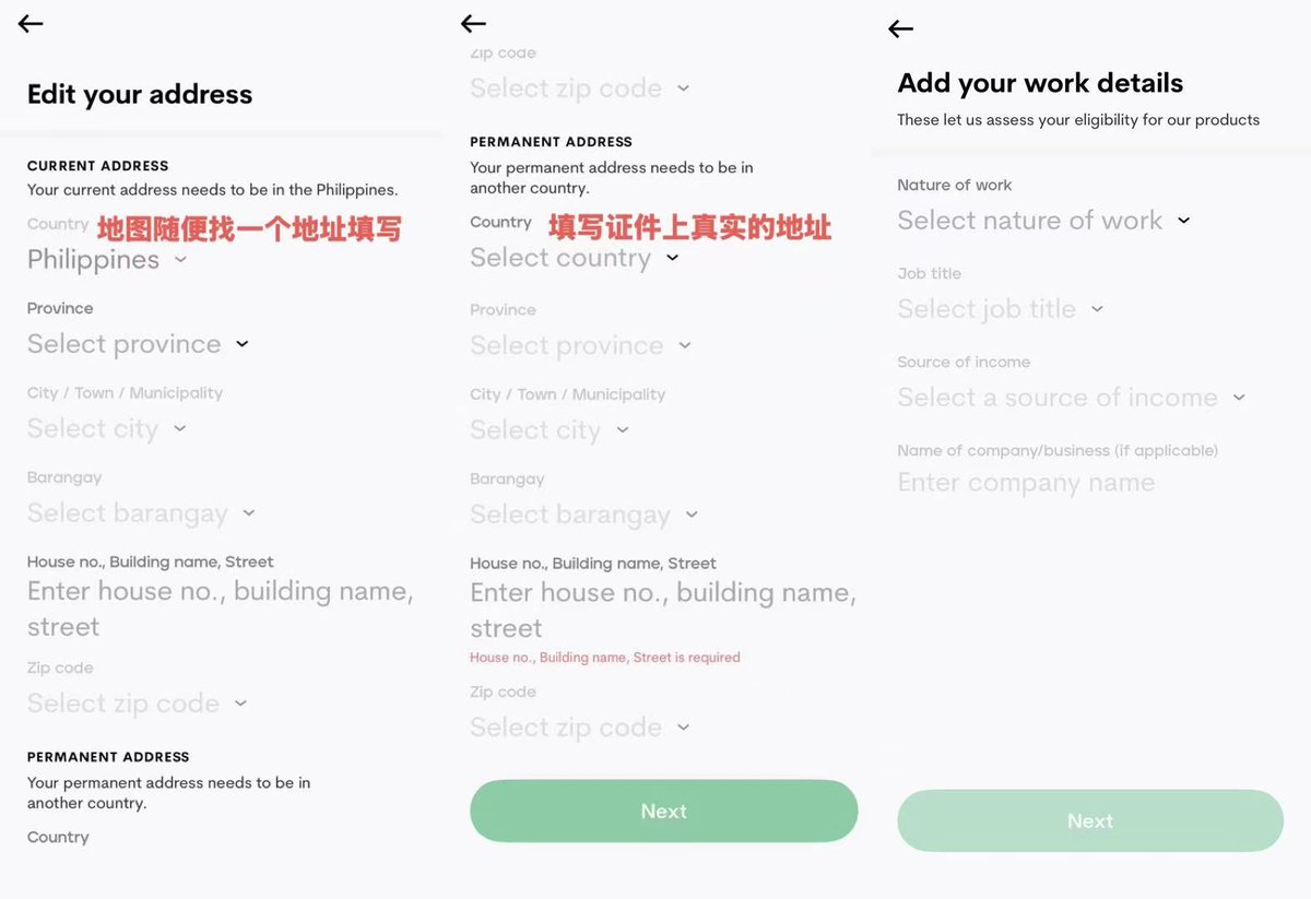 选择 Foreign Passport 通道