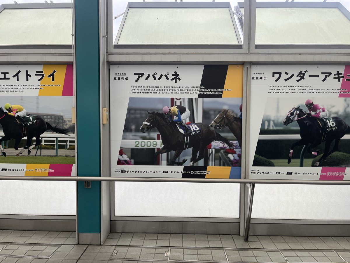 a_ikeusa's tweet photo. 今日はながもとさん(@nagamoto48 )と
プチオフしました！

場所はなんと阪神競馬場🏇笑
この時期だから競馬やってなかった🥺

大昔に少しだけ携わった
懐かしの名前がいっぱいあって
親の方がテンション上がりました☺️ https://t.co/oVJ0XttCrZ