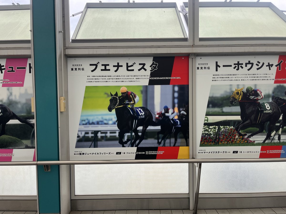 a_ikeusa's tweet photo. 今日はながもとさん(@nagamoto48 )と
プチオフしました！

場所はなんと阪神競馬場🏇笑
この時期だから競馬やってなかった🥺

大昔に少しだけ携わった
懐かしの名前がいっぱいあって
親の方がテンション上がりました☺️ https://t.co/oVJ0XttCrZ