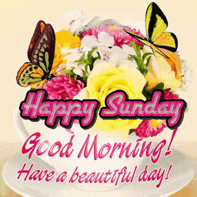 Lulu_cowboys's tweet photo. Happy Sunday #RockStars .. New wk .. new goals .. smell of football is closer .. and almost a new season for fake ppl to move on .. yall have a bless day πππΎπ―π¦ https://t.co/TIqcPmrxZn