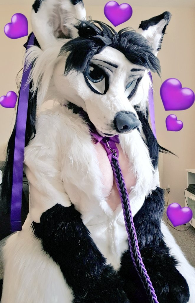 Foxyvix1's tweet photo. Wruff? https://t.co/KCjZbzd86p