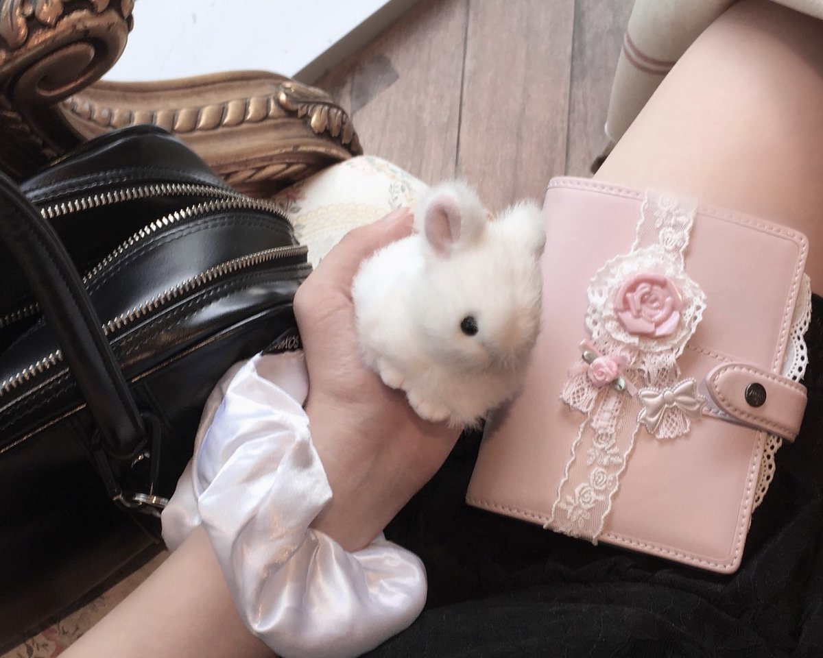 bitusagi tweet picture