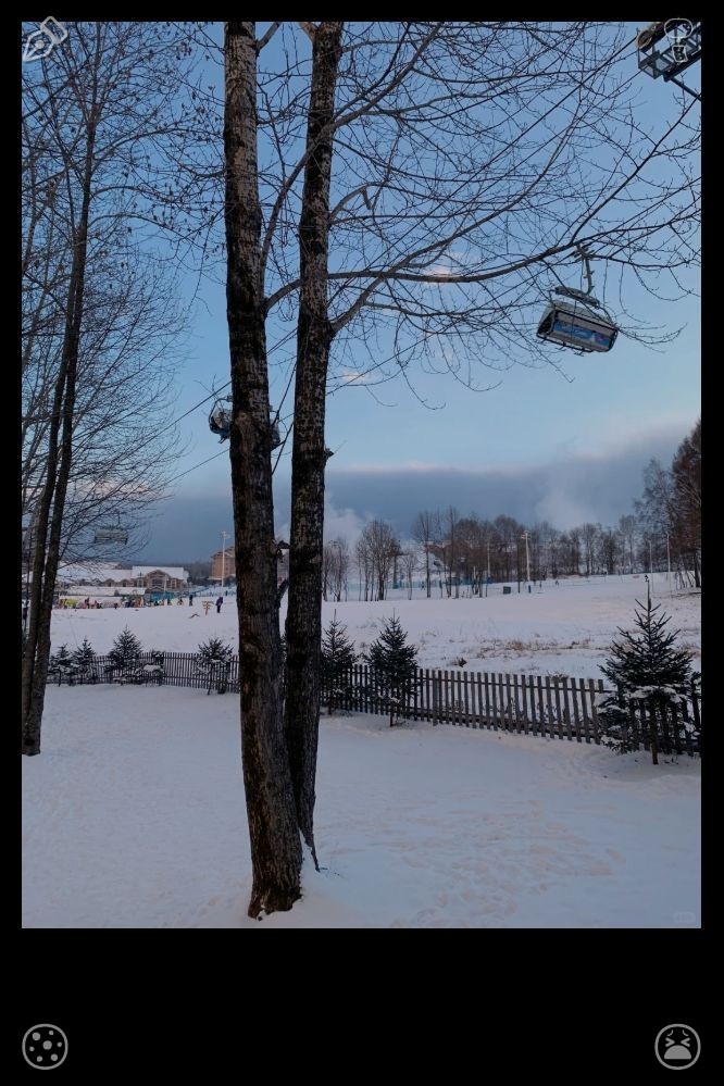_yunn00's tweet photo. Swift swallows soar unconstrained over the zoo, wheeling and twirling through the sky, infusing the entire park with a playful, airy charm. 🌅 Morning hustle at the plant: safety drills, vigor, and strict adherence to protocol on the job! https://t.co/yGZ1WitJk9