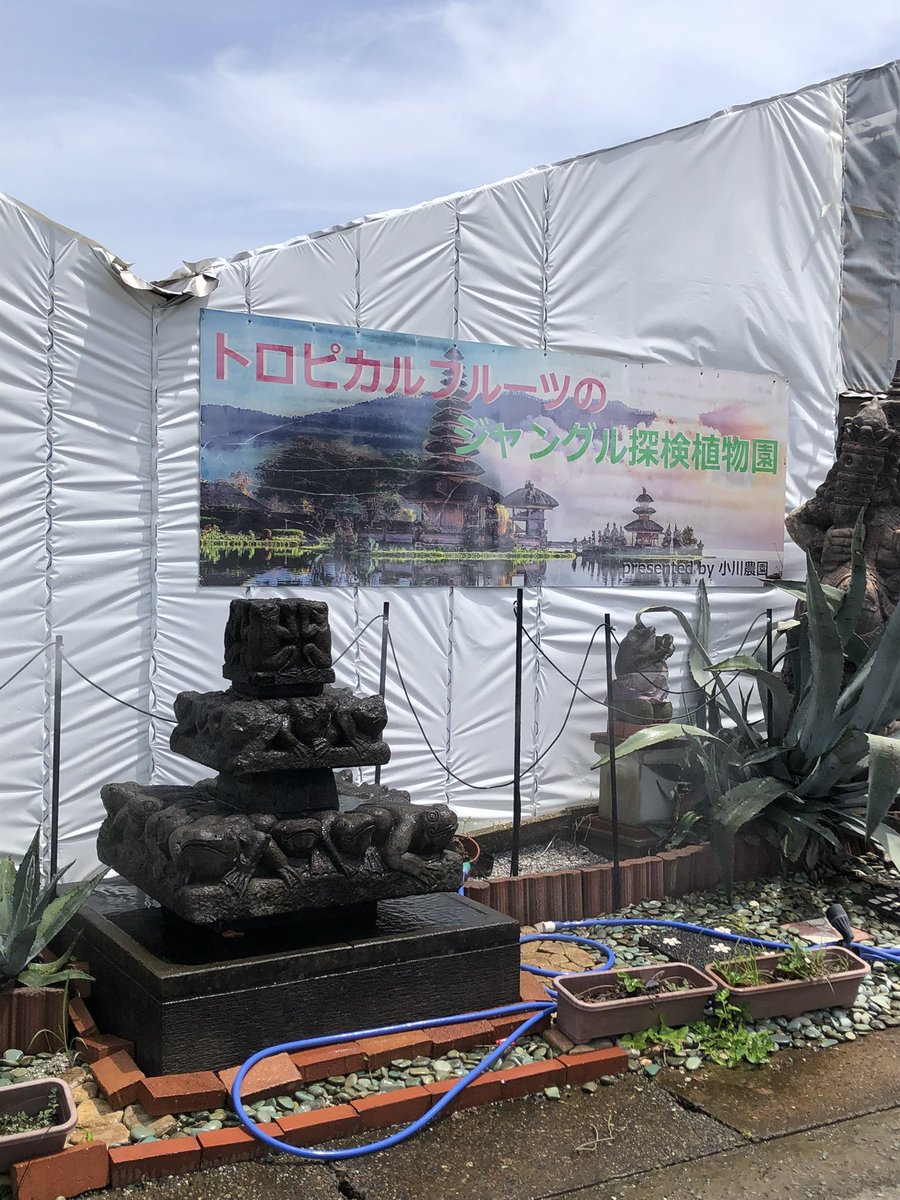 urr_69's tweet photo. 自然を堪能できて満足だったけどメガテン知ってる人なら楽しめる謎立地無人迷路ジャングル探検植物園が強烈すぎて全てを掻っ攫っていった
何故かインド、バリ島の神やらの像と解説があってびっくりした
正直世界樹の迷宮好きな人も楽しめる（ショートカット通路開通した時の気持ちを身体で味わえる） https://t.co/g8sDhnRope