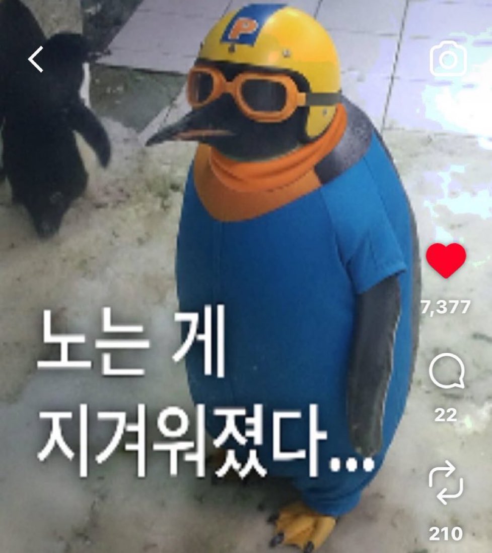 gr00000m3's tweet photo. 영하투피 https://t.co/0si0Inv6mw