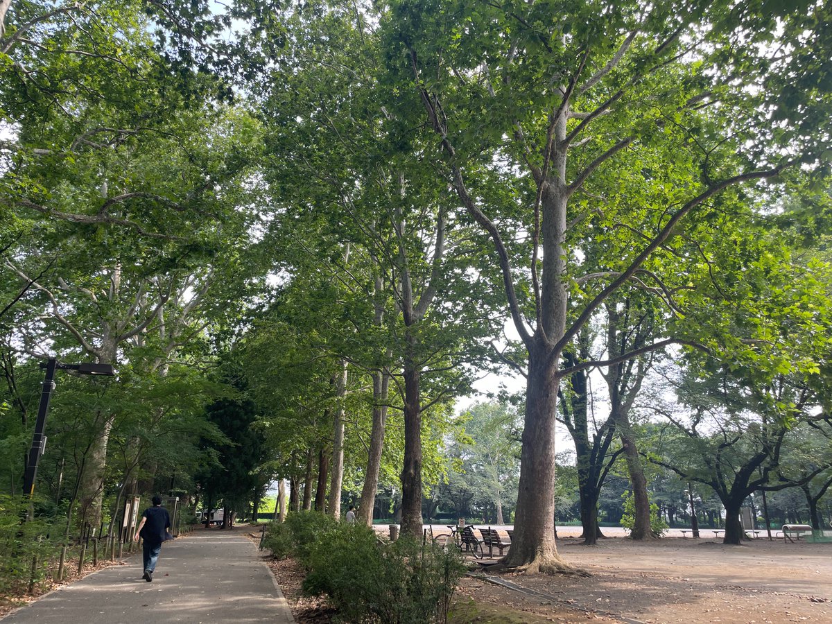 midori_platform's tweet photo. 林試の森公園を訪れました。

不思議な名前だなあと思っていましたが、『林業試験場』の跡地ということなんですね。🤔

#Midori #自然 #公園 #アウトドア #自然情報ポータルサイト https://t.co/zFgEcJ0EgG