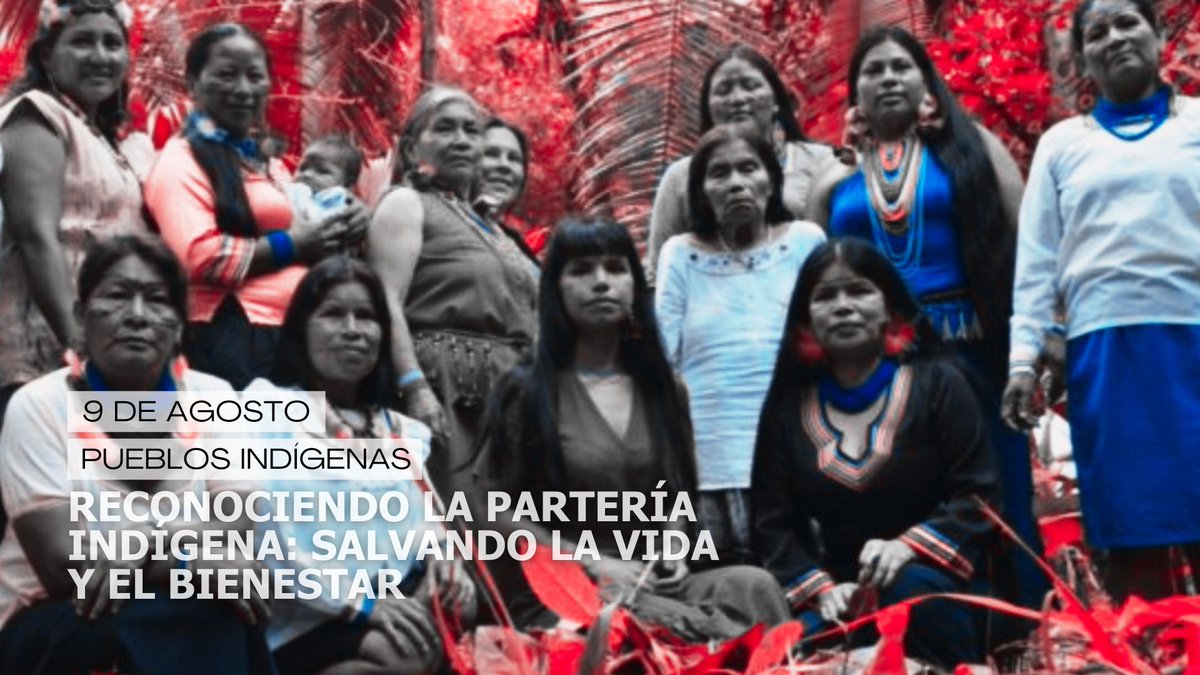 REDES_ONGD's tweet photo. Los sistemas propios de organización, idiomas y tradiciones indígenas enriquecen nuestro mundo🗣️📚. La preservación de su identidad es un derecho inalienable. #DerechosHumanos #DíaDeLasPoblacionesIndígenas https://t.co/CWjy7XcZBj