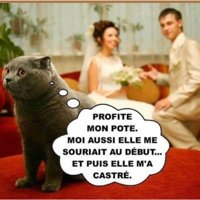 BeguinChat's tweet photo. ππ€£ππ
#chat #chats #chaton #chatons #funnycat #funnycats #felin #gato #gatos #gatto #minet #bouledepoil #kitten #kitty #mdr #lol #marrant #humourchat #humourchats #chatdrole #katze #rigolo #marrant https://t.co/dleLe6vpoq