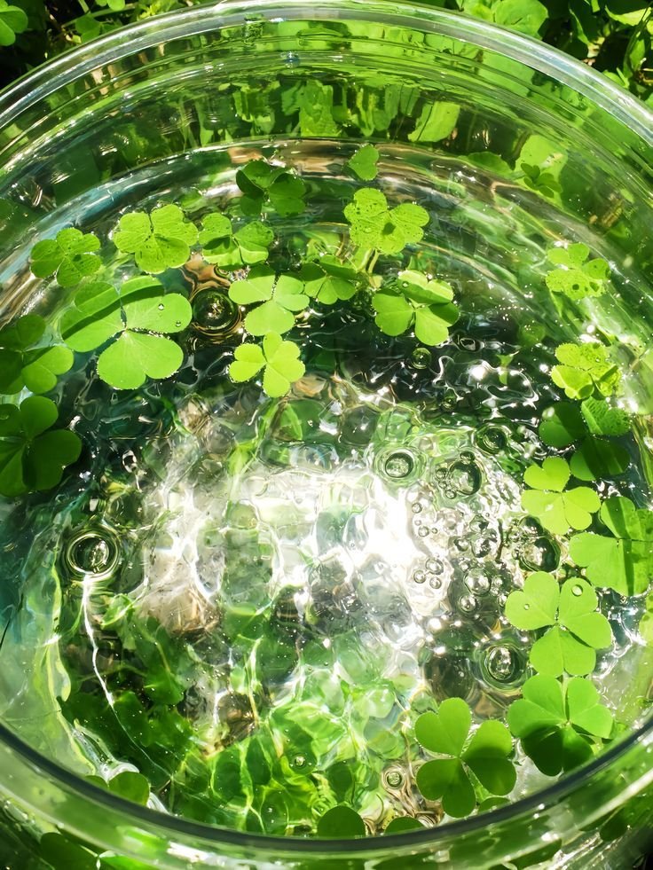 cozyycabin's tweet photo. May the lucky clover bring you all good luck! https://t.co/BqMY5AHcnT