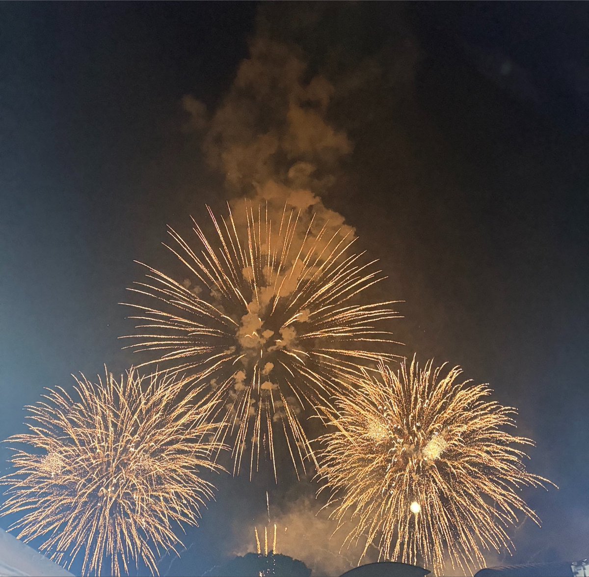 mosh1sumo's tweet photo. 昨日の思い出🎇 https://t.co/eejxGCbaUy