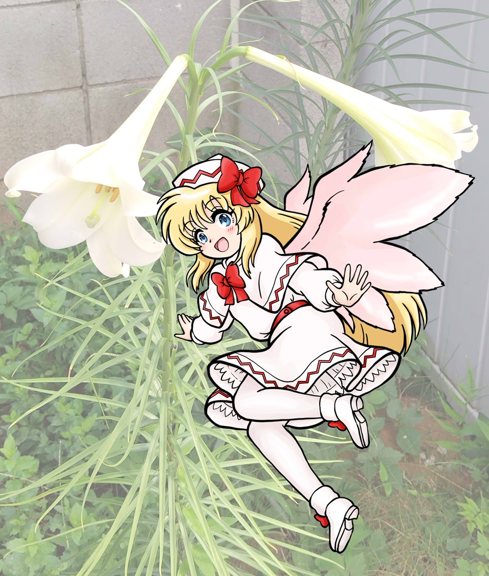 xiaolong_tweet's tweet photo. リリーがやってきた❤ https://t.co/U3sag9EUQM