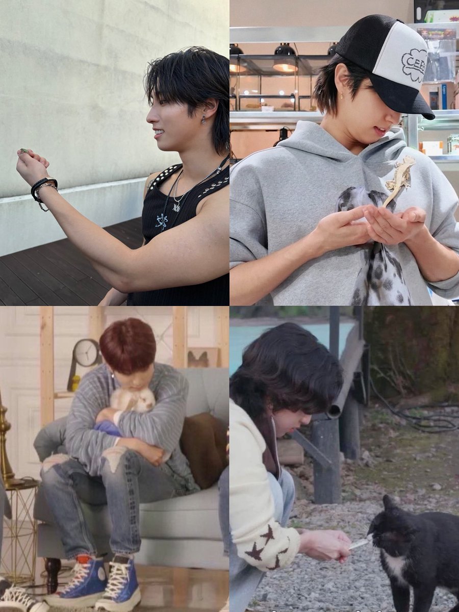 hanmoonss's tweet photo. hannie with animals is so always so cute 🥹🥹 https://t.co/0ia3lxYIsa