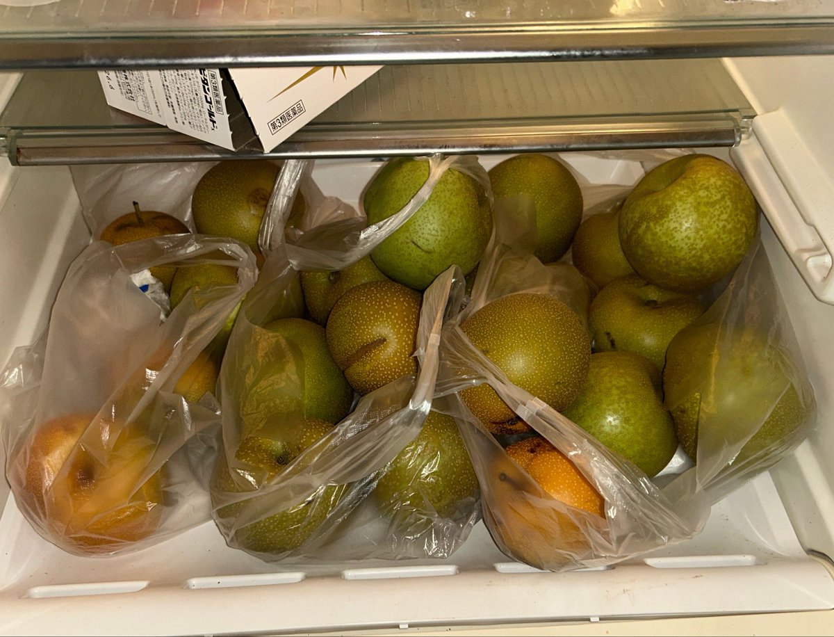 makorog1's tweet photo. 今年も幸水大量にもらったﾅｼｨ(｢🍐･ω･)｢🍐 https://t.co/PRumBHXCDb