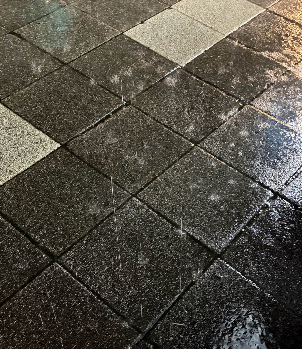 MoriyaTech's tweet photo. お祭り雨やばくてさっきからずっと屋根に避難してる😭 https://t.co/nZMOiGDRnh