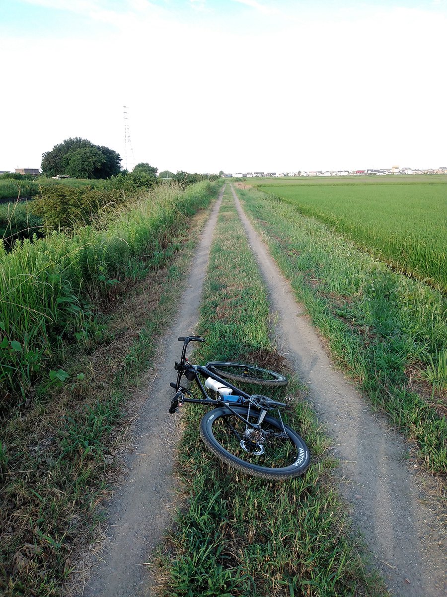 suzukkb's tweet photo. 朝5時半からグラベル
キャメルバックのCRUXサーバーを凍らせて投入、丁度いい冷たさで良さげ薄曇りで3時間半走って凍った部分が残ってました。

使用したハイドレーションバッグはCAMELBAK CHASE RACE 4 VEST https://t.co/JJaNBm2QGR