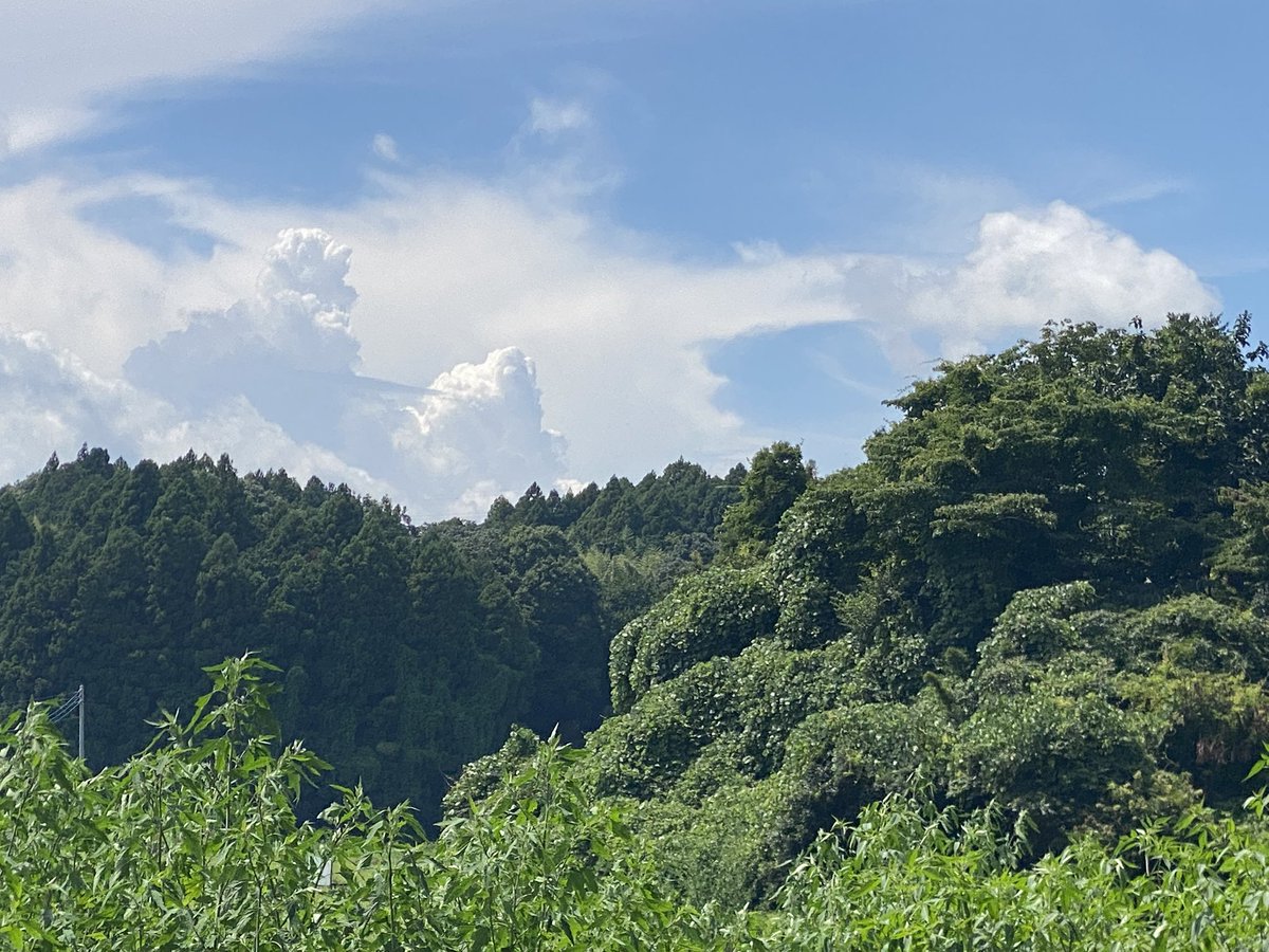 counter_line_t's tweet photo. 久々に時間が取れたので車5分圏内の場所でとある作業をしてきました😌

#千冬を歌ってたわけではない https://t.co/FNKBLqDOxN