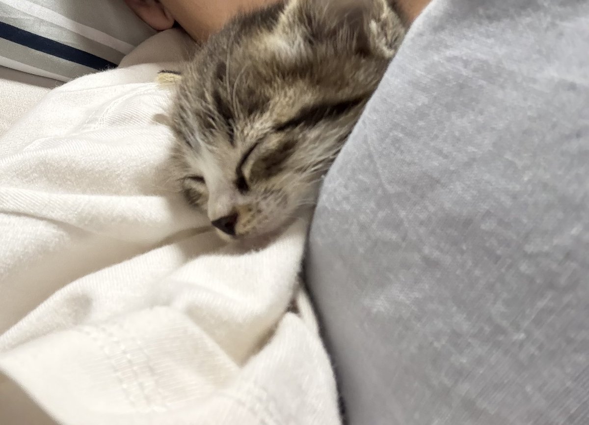 bs_monti's tweet photo. 可愛すぎて死ねる☺️ https://t.co/VVynOJJ1p0