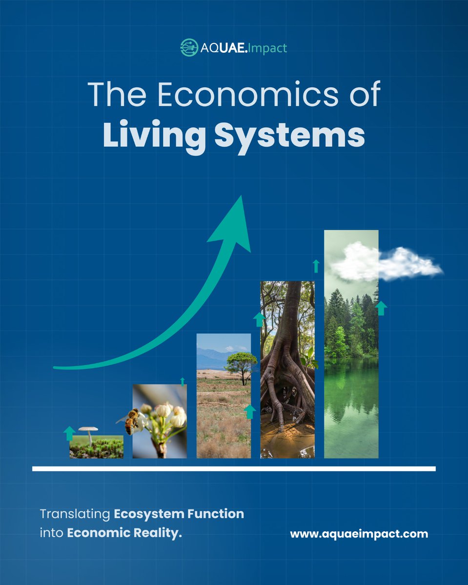 Aquaeimpactorg's tweet photo. Every ecosystem service creates value differently. ALCI applies ecosystem-specific pricing logic using replacement costs, avoided costs, market benchmarks and conservation premiums, transforming ecosystem performance into measurable natural capital.
#ALCI #AQUAEImpact https://t.co/IIlVa747vw