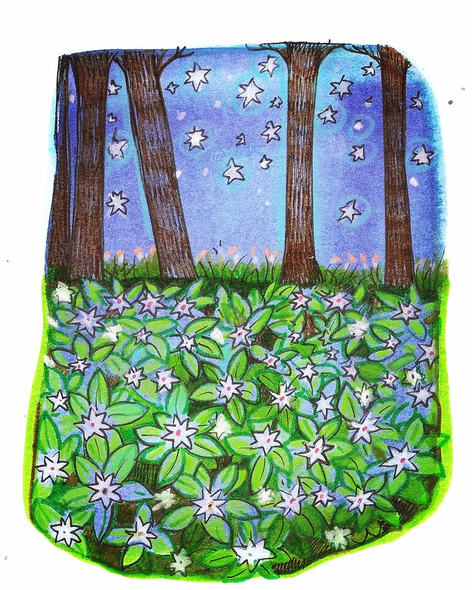drawstuff's tweet photo. #sundaytrees #StarsEverywhere #peace #nancycarlsonstudios https://t.co/wa3zVMkGi5