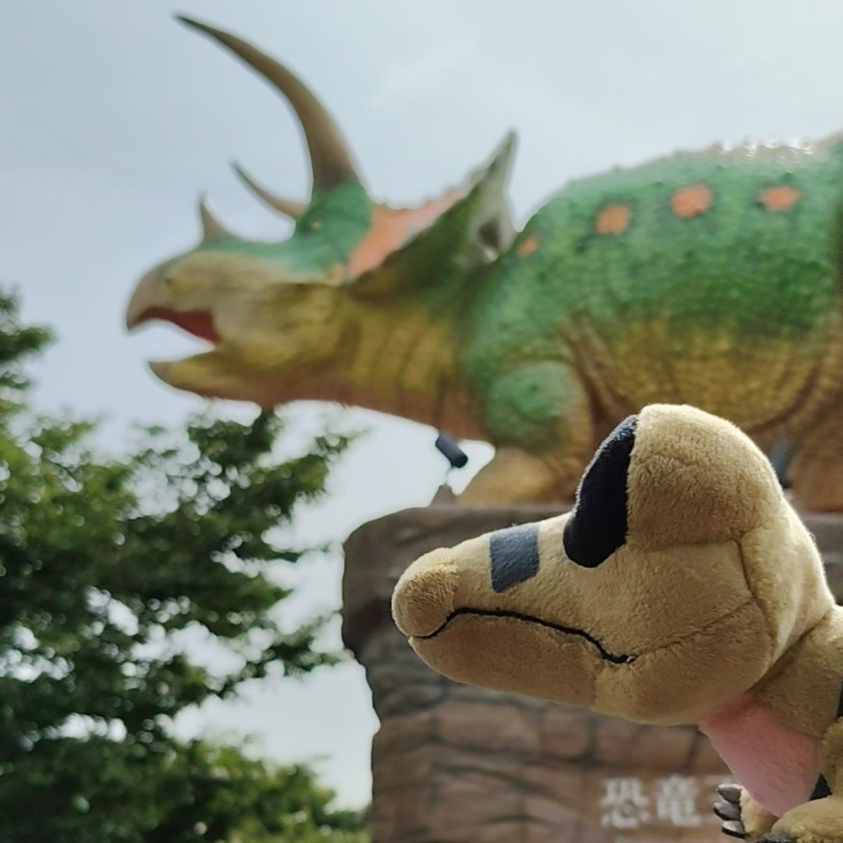 warukazu111's tweet photo. 旅🐊 https://t.co/yI1di9oU5X