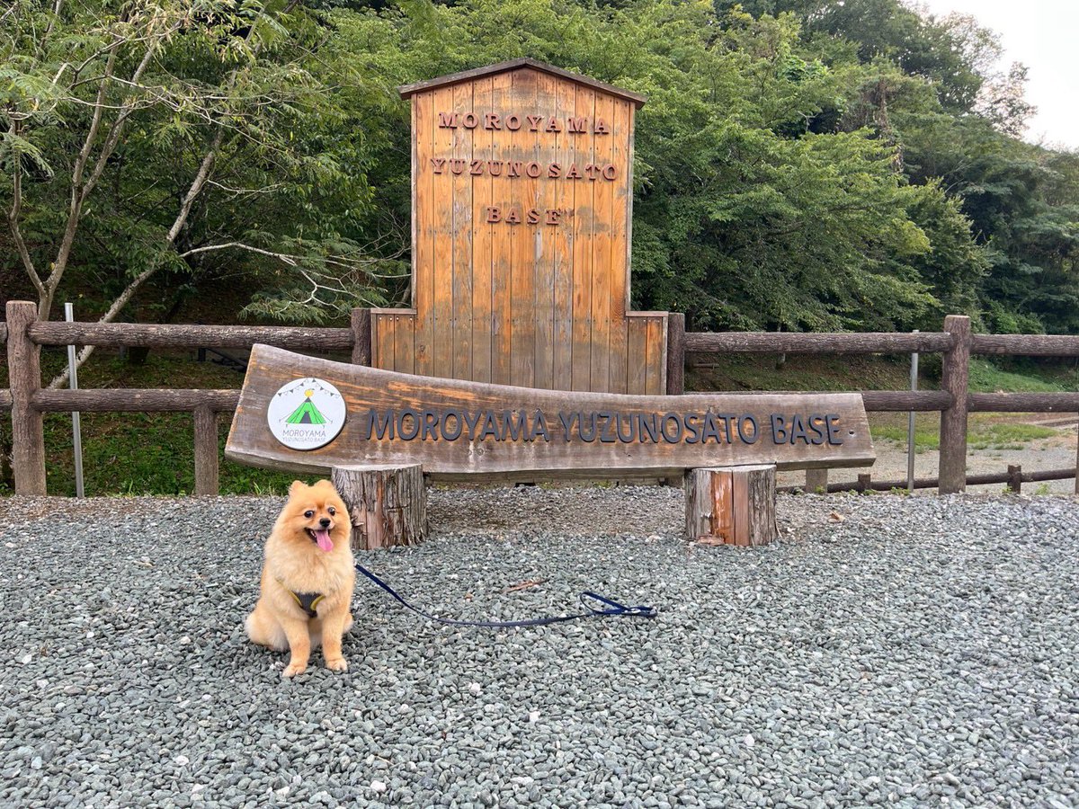 yoko19961's tweet photo. 先週末と今週末、2週連続でゆずの里オートキャンプ場でキャンプ。先週は三男達と今週は次男夫婦と。砂利サイトの奥側は木陰で、また夜は夜で涼しくて。とても楽しいキャンプでした🏕️ https://t.co/q0ltrfmFyK