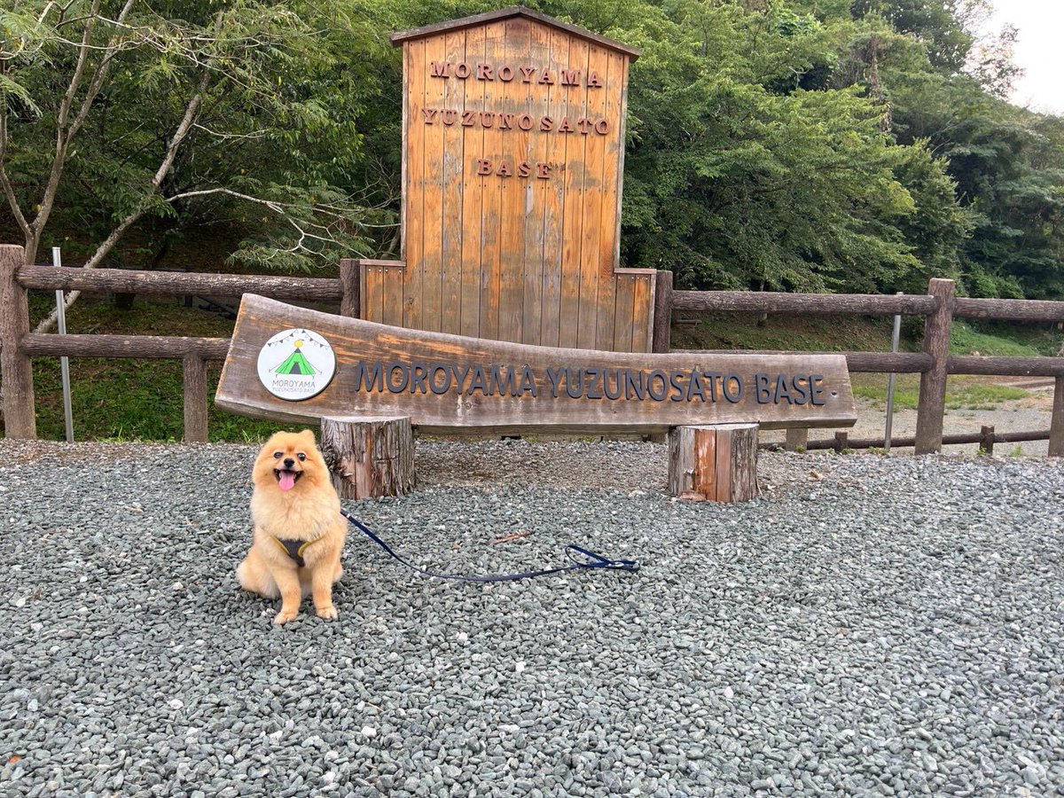 yoko19961's tweet photo. 先週末と今週末、2週連続でゆずの里オートキャンプ場でキャンプ。先週は三男達と今週は次男夫婦と。砂利サイトの奥側は木陰で、また夜は夜で涼しくて。とても楽しいキャンプでした🏕️ https://t.co/q0ltrfmFyK