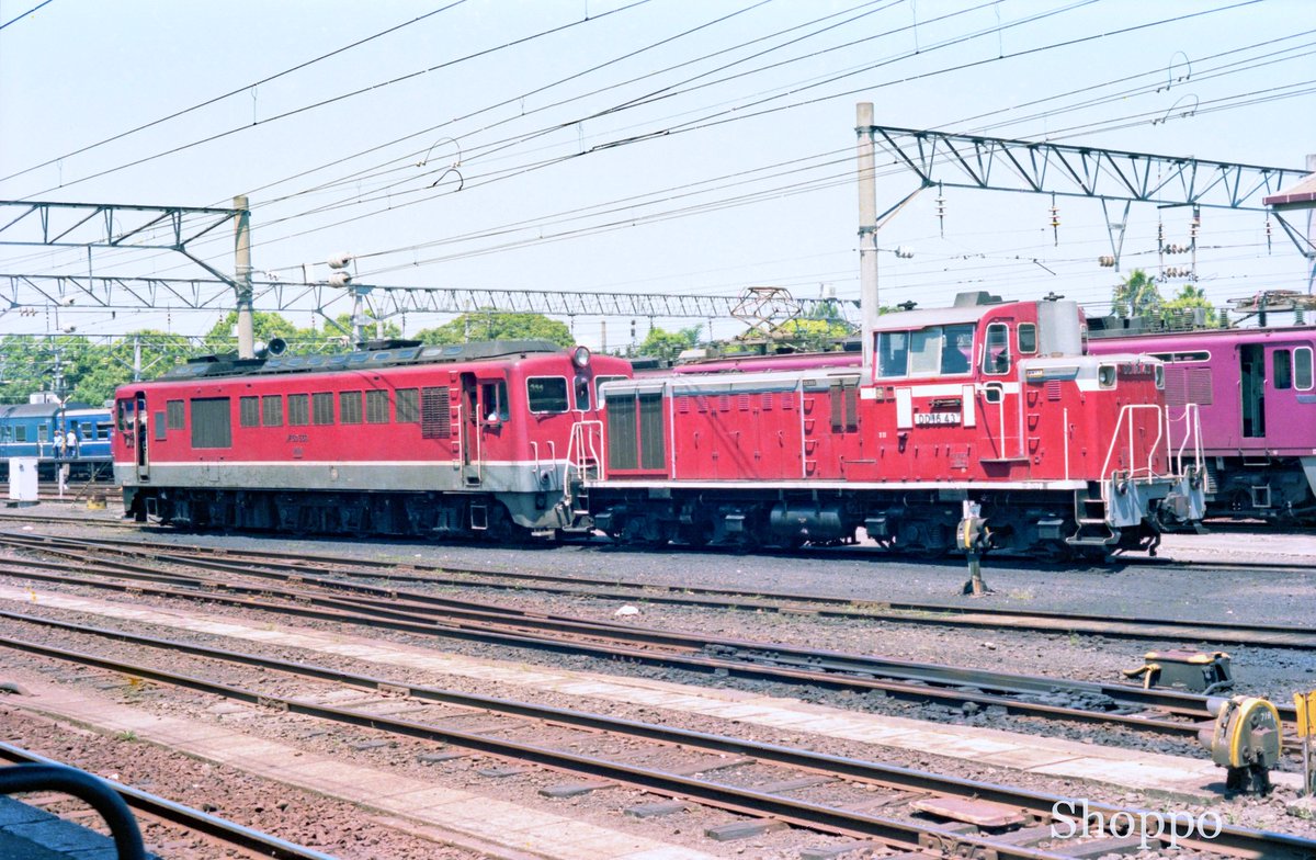 shopposan0529's tweet photo. #国鉄時代 #DD16 #DF50 #宮崎駅
いまから47年前の今日、1979年8月10日。前夜の新大阪から夜行急行『くにさき』で大分。さらに南下し宮崎で間もなくの電化で消えるDF50を撮りにきました。 https://t.co/7Au9qxcHIi