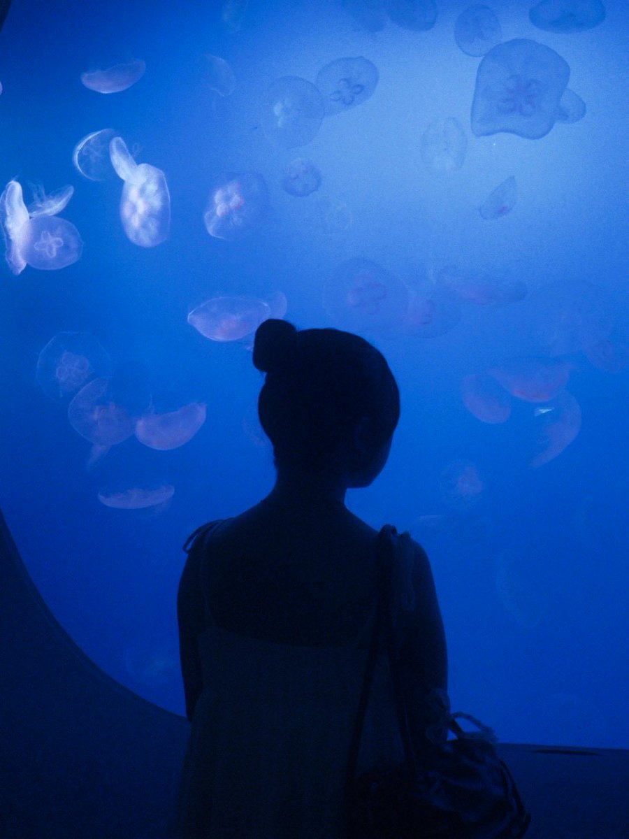 ___s09ntk_'s tweet photo. 水族館行ってきた��だ𝜗𝜚

どこみても幻想的な空間でした⋆˙⟡
また行きたいな💭

#新江ノ島水族館 #くらげ #sjkの素敵な思い出 https://t.co/OTsMFwcqUX