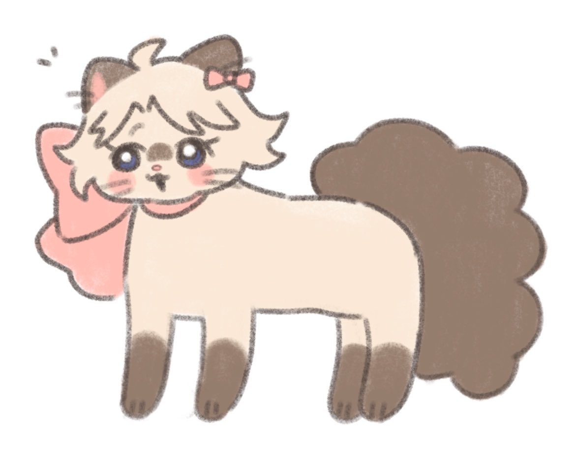 whitebread014's tweet photo. 今日のねこちゃん https://t.co/9hprDM6sBf