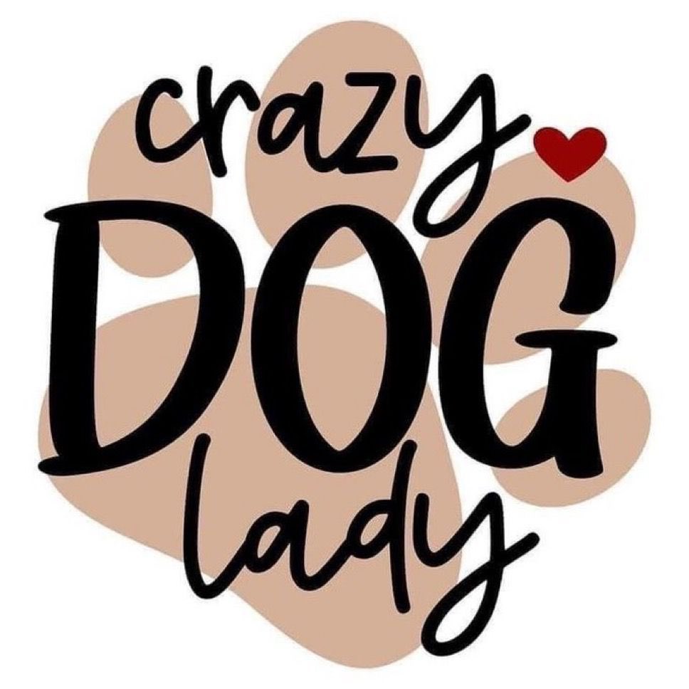 AshelyShem's tweet photo. My puppy and i sêx násty on camera, watch my vids, add me on telegram https://t.co/x9QAz9q2bA
#doglover #dogslut #knotty #k9girls #dogbitch #aoz #artofzoo #k9slut
#zoolove #doggy #k9lady #knottygirl
#dogknot #人兽 #evva #zoophilia
#beastilty #doglove https://t.co/OEvHDETjdp