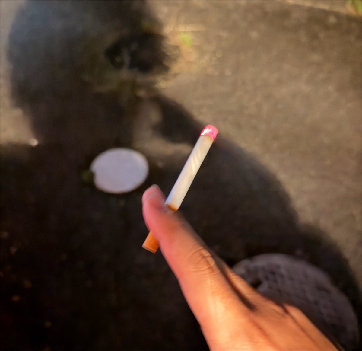 Hiro_u_3's tweet photo. 1本吸ったら夜枠やりまぁす🚬

しばしお待ちを✋ https://t.co/K3EBOuB2sW