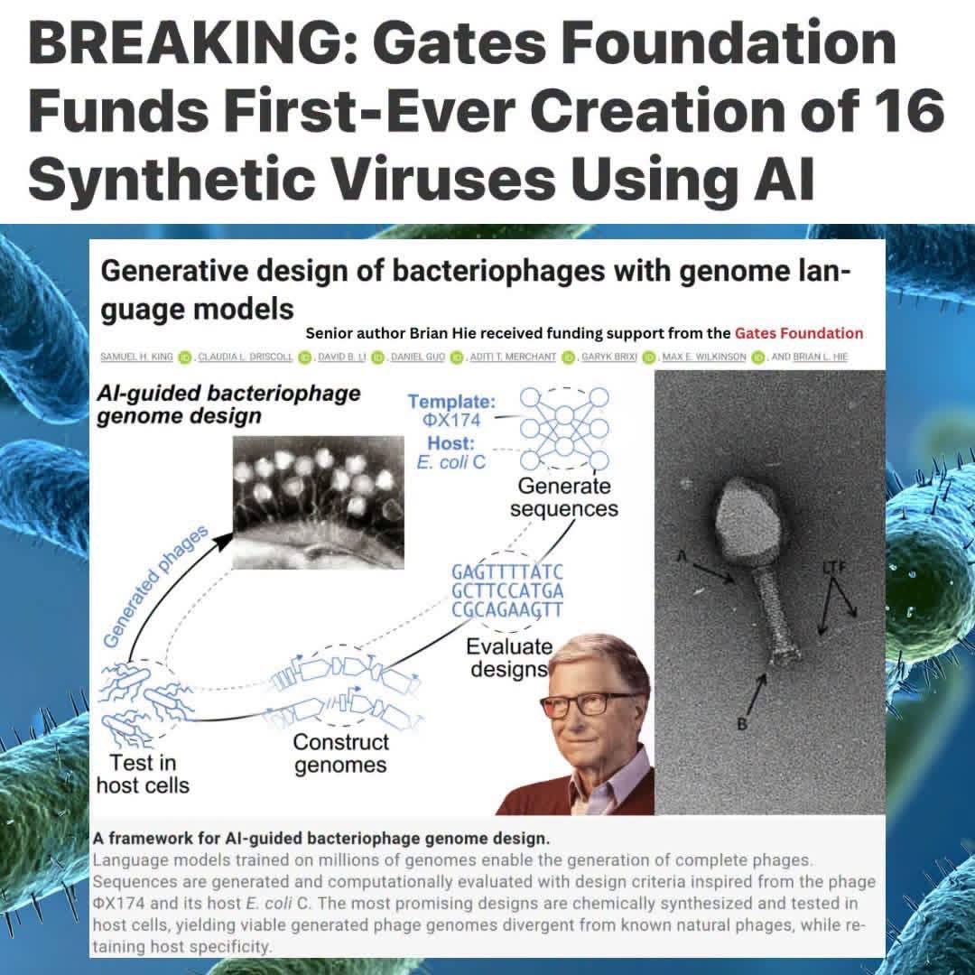 2_bloempje's tweet photo. Draadje: Bij alles wat deze #BillGatesFoundation creëert heb ik grote bedenkingen. In het verleden is gebleken dat hun gezondheidsexperimenten niet altijd een positief effect op de mensheid hadden. Zal dit #AI experiment ons wel voordeel of meer nadeel opleveren? https://t.co/OVfT2U4QQV