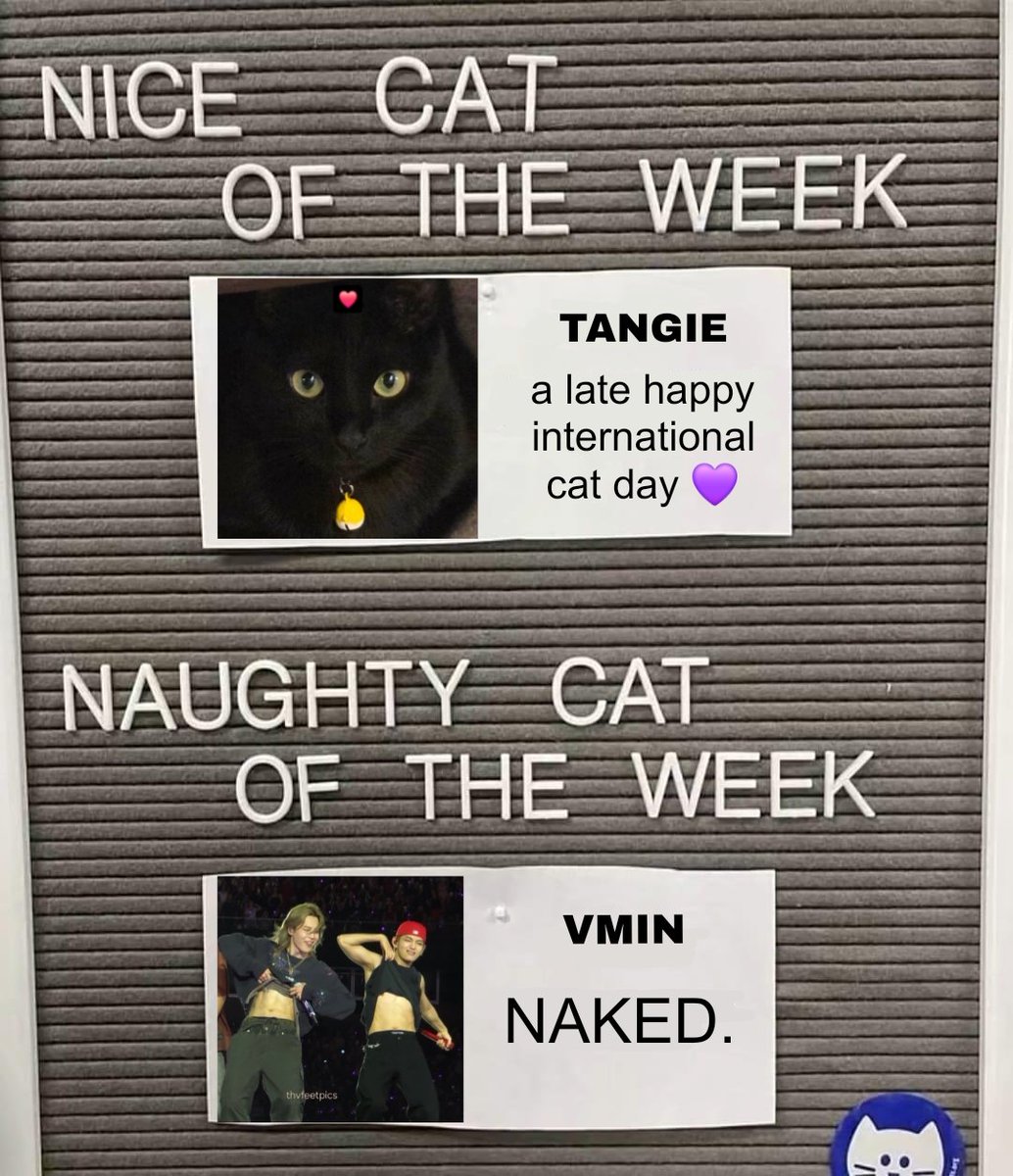 galaxiasjoon's tweet photo. Your weekly cat ranking 157, special mention to yoongi who could almost have fit in both categories too https://t.co/yL15jDSKFq