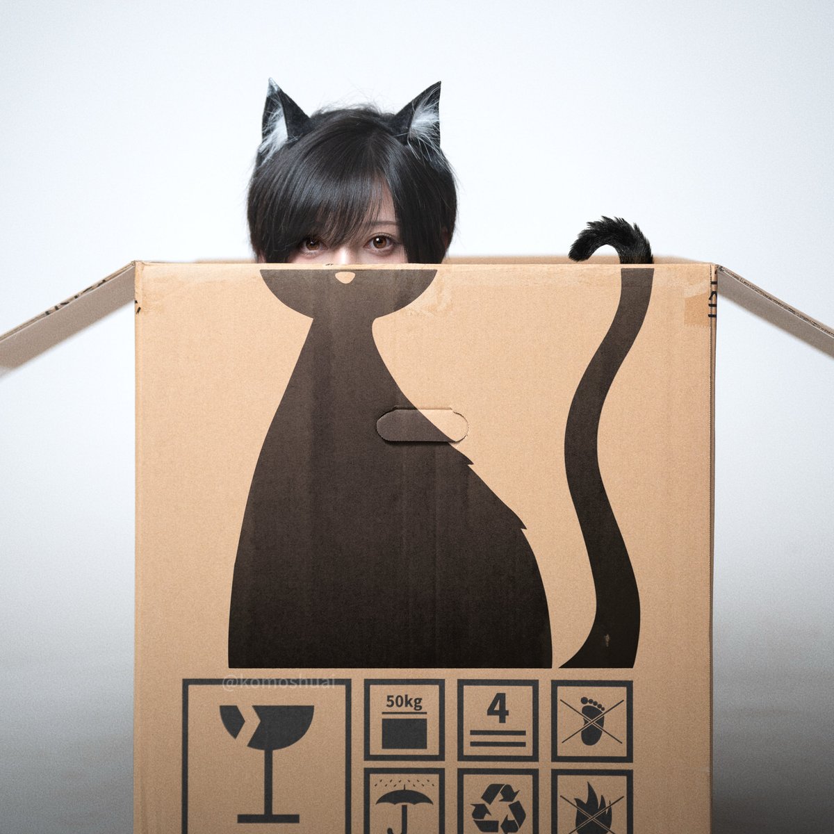 komoshuai's tweet photo. 🐈‍⬛ https://t.co/iUvqzg4Qi7