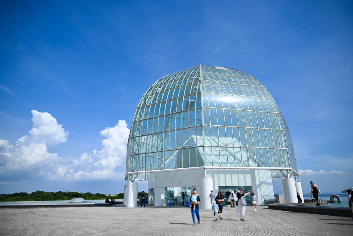 ranetyan's tweet photo. 夏の葛西臨海水族館
#写真好きな人と繋がりたい #私とニコンで見た世界 #ファインダー越しの私の世界 #photography #nikon #nikonz5 https://t.co/lhqkjnZKyx