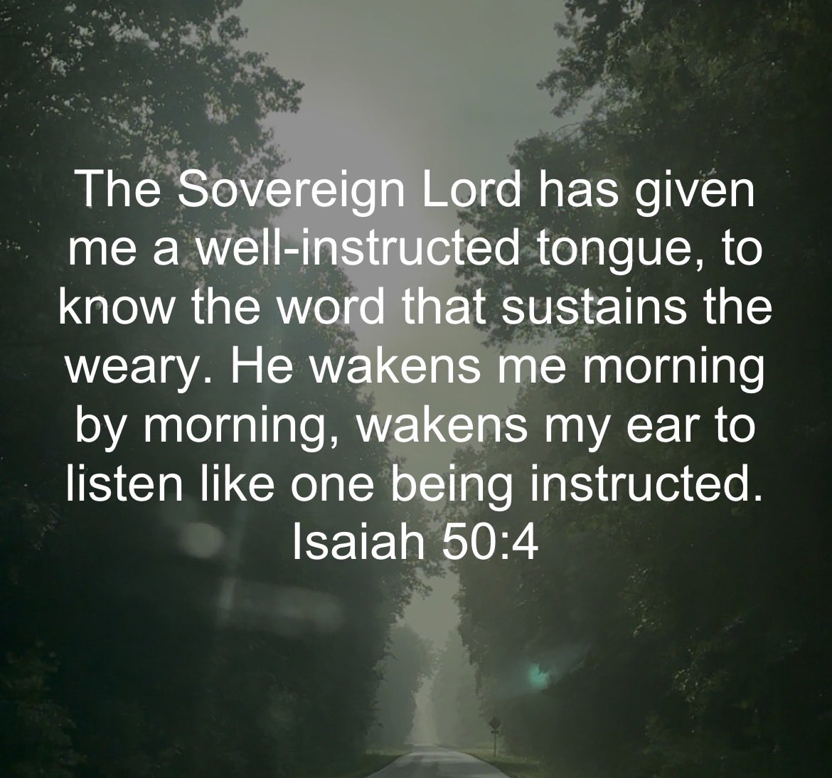 JGiesige's tweet photo. New day, new mercies, new moments to trust Him.
Friends, God equips us to lift the weary.
Someone around you needs hope today.
Let your words be the reminder that they’re not alone. #InHisGrip 🙏🏻👊🏼 https://t.co/hX6qqPStUk