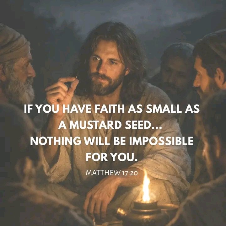 altinekasre1's tweet photo. “If you have faith as small as a mustard seed, nothing will be impossible for you.”

Matthew 17:20 https://t.co/iCcahhSOLB