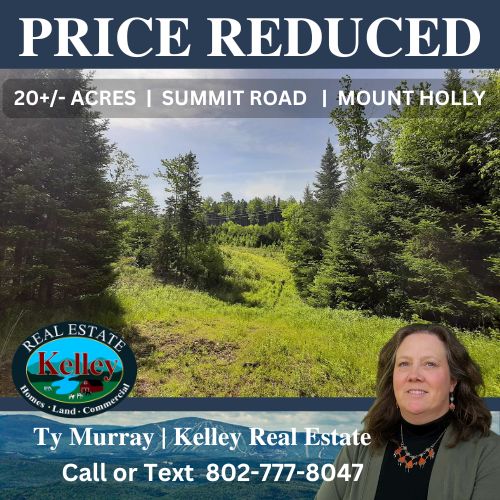 Kelley_RE's tweet photo. FOR SALE
20+/- ACRES  |  SUMMIT ROAD  | MOUNT HOLLY
Six pits were dug and results were favorable.  Contact Listing Agent Ty Murray at 802-777-8047 if you would like to walk this parcel!
website link:  https://t.co/SufhVUA8hb https://t.co/LIEIUEq7Vd
