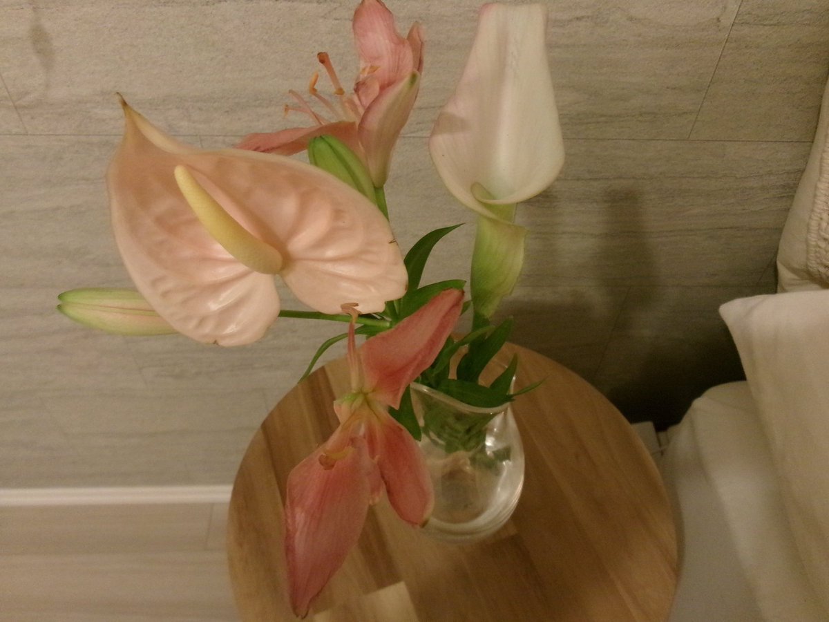 __threecornered's tweet photo. 気づいたら2年以上投稿空いてたけど、元気です(^.^) https://t.co/ekB2xbVDa3