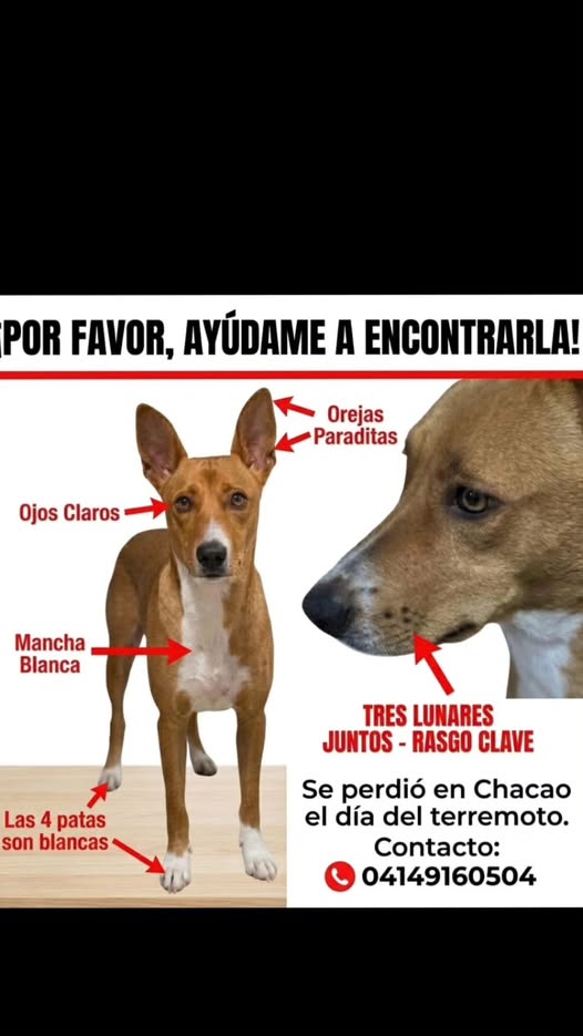 A64029345's tweet photo. DIFUNDIR SE PERDIÓ EL DÍA DEL TERREMOTO https://t.co/7Y3QklLYMO