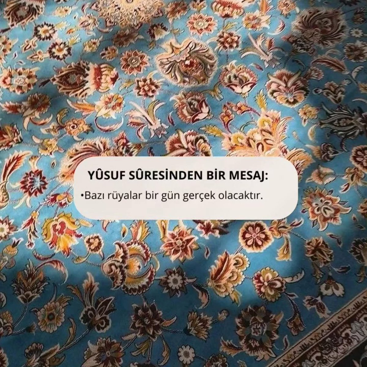 _Nekre's tweet photo. https://t.co/A2zfJBP3bV