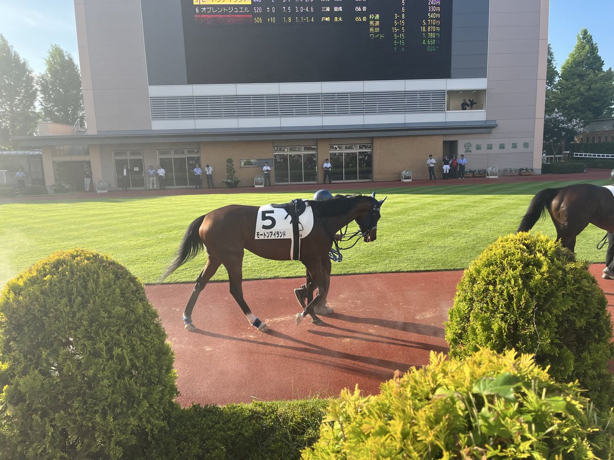nissynissy1017's tweet photo. モートンの応援にきました🐎 https://t.co/WbSF3wzePi