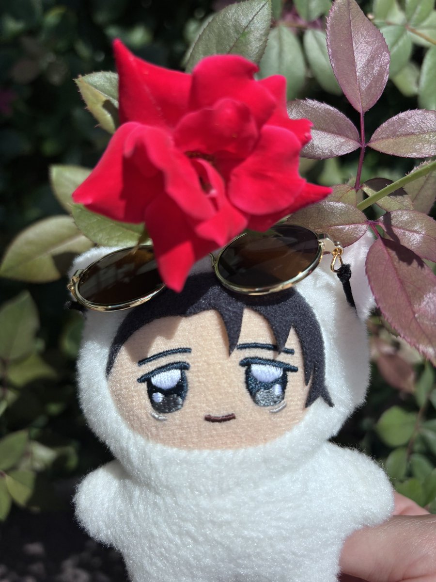 R_fc3s's tweet photo. ちみの小旅行 https://t.co/pa4hDg2ZoO