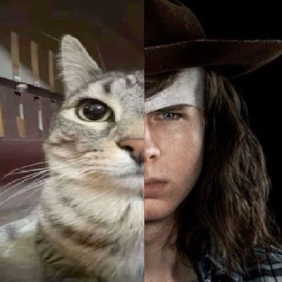 jadeslvs's tweet photo. #NewProfilePic any twd fans on here https://t.co/nDomL1ywwZ