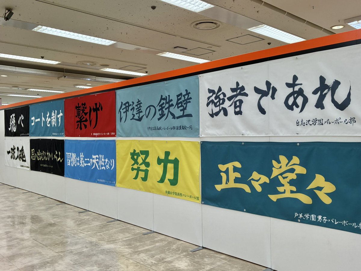 gpgpgp29's tweet photo. 今日はハイキュー頂ストアへ🏐🏐
すっっっごく良かった。広い！品揃えすごい！
展示が多くて大興奮。一人のキャラのグッズが多い、品切れが少ない。
散財を免れることはできない。こわっっ
いやほんと…すごかった…
欲しいＴシャツは売り切れで再入荷してもその情報は得られないからどうしたものかっ https://t.co/b0PiBeH1Qk