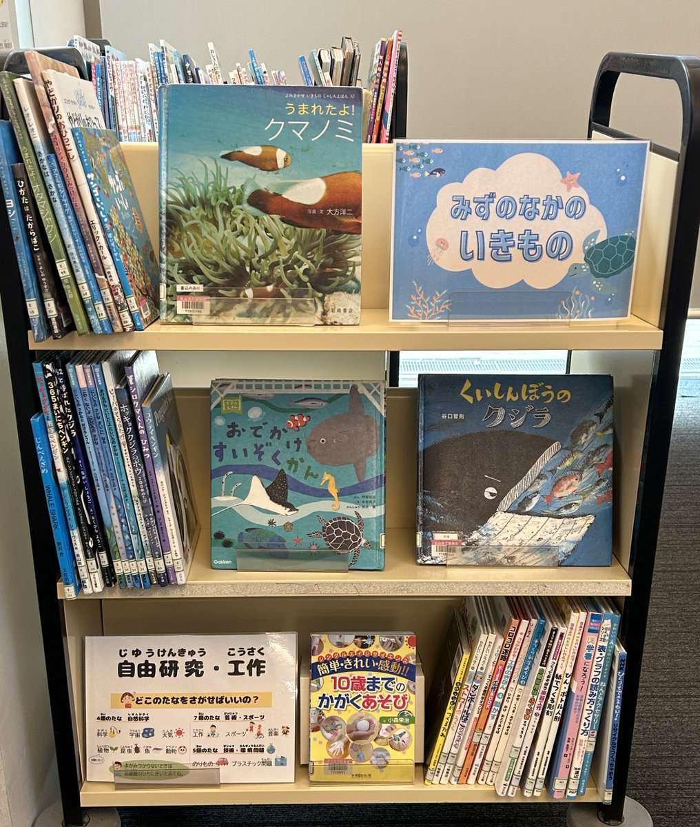 N_kodomo's tweet photo. 【8月の展示①】
「みずのなかのいきもの」
水の中にいる生きものたちと一緒に、涼しい水中にいるような気持ちになってよんでみてくださいね！🐟🐡 https://t.co/M8UXmLXizT