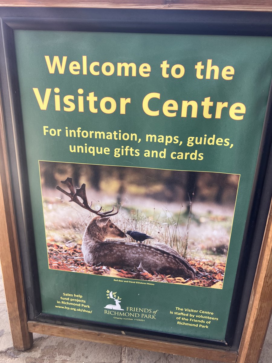 FRPTweets's tweet photo. Visiting Richmond Park this Sunday? Drop by the Visitor Centre by Pembroke Lodge Car Park! We have free information leaflets, as well as a wide range of gifts, including cards, mugs, towels and more for sale. https://t.co/NmaKTqtrG8