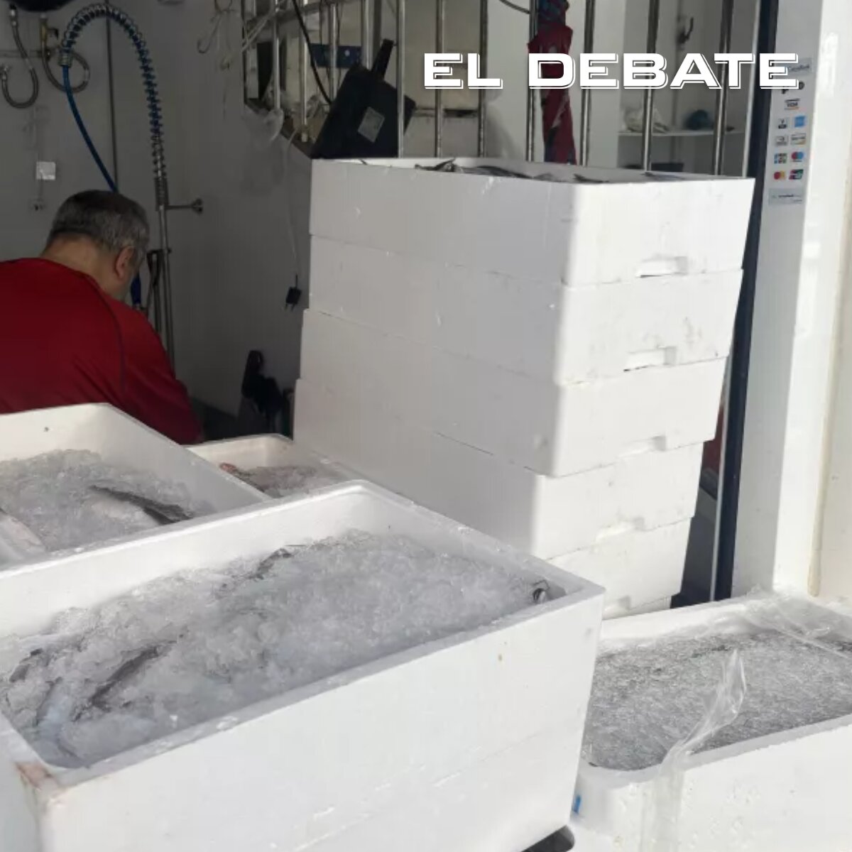 eldebate_com's tweet photo. 🚨 El «drama» económico en Ceuta por la invasión

«He perdido 14.000 euros y los bares apenas me compran ya»

✍️ Carlos Latorre https://t.co/avC0e3ADkG